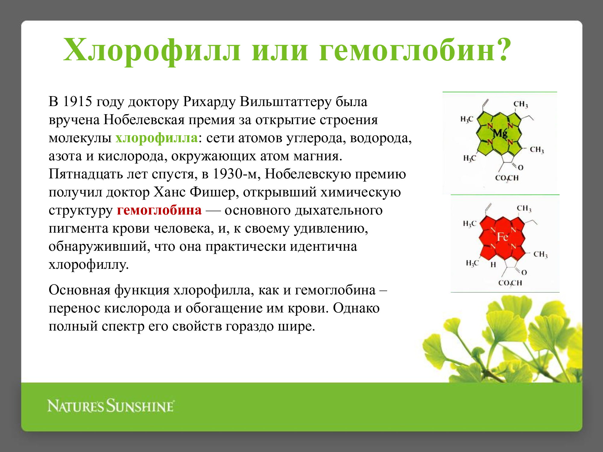 Особенности хлорофилла. Химическая формула гемоглобина и хлорофилла. Гемоглобин и хлорофилл структура. Формула гемоглобина и хлорофилла. Строение гемоглобина и хлорофилла.