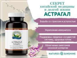 Астрагал, Astragalus, Астрагал нсп, Astragalus nsp, адаптоген астрагал нсп, купить бад астагал, бад астагал доставка, добавка астрагал, Астрагал перепончатый