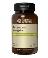 Астрагал, Astragalus, Астрагал нсп, Astragalus nsp, адаптоген астрагал нсп, купить бад астагал, бад астагал доставка, добавка астрагал, Астрагал перепончатый