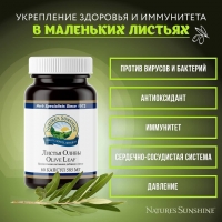 Olive Leaf Extract,Экстракт Листьев Оливы, нсп листья оливы, купить листья оливы, nsp листья оливы, бад олива